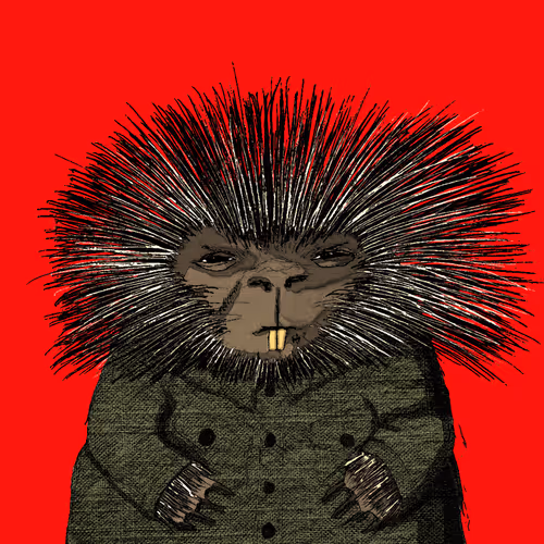 Unique Urson Collection