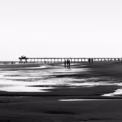 Tybee Island: Life At Sea