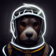 Lunar Dogs