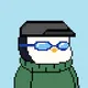 Pudgy Penguin Punks