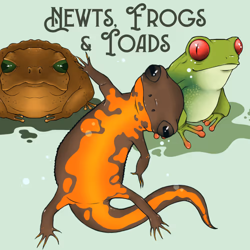 Newts, Frogs and Toads