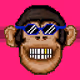 chimpanzeees