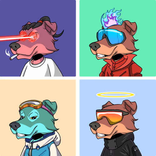 项目媒体占位符