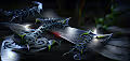 Collection of Artificial Art