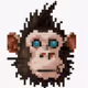 Who Stole The Coconut