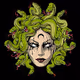 MEDUSA'S ARC