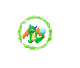 Baby Dragon27