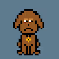NFT Puppys