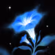 Blue love star