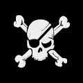 Crypto Crossbones