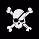 Crypto Crossbones