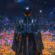 Ronin by Richard Nadler