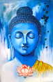 Buddha Limited Edition - old