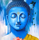Buddha Limited Edition - old