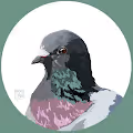 SageyBug's Birds
