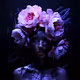 hues. (e)motions. flowers and other things