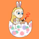 EggBabies