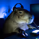 Testing