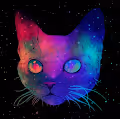 KryptoKats Digital