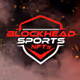BlockHead Sports Season 2