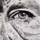 The Art of Realism