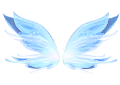 Morpho templates