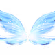 Morpho templates