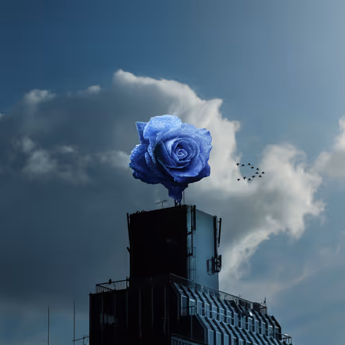 Graphic X Photo by 3un