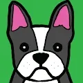 Boston Terrier Club