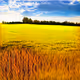 Dreamlike Tuscany