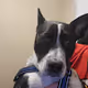 Sampson