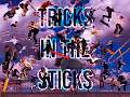 TRICKS IN THE STICKS