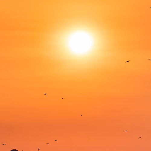 Images in Low Sunlight