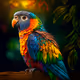 WildHearts-