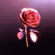 Red Flag Roses