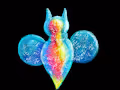 Sea Angels
