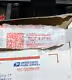 Priority Mail
