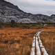 Rugged beauty: A Norwegian Journey