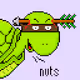 Rude Turtles
