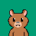 px bears