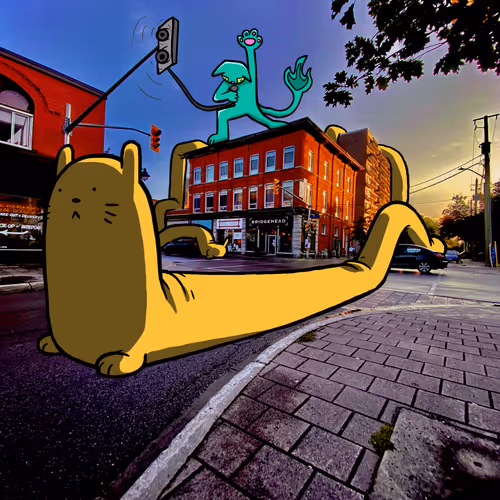 We Are the Pocket