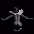 Back Collection
