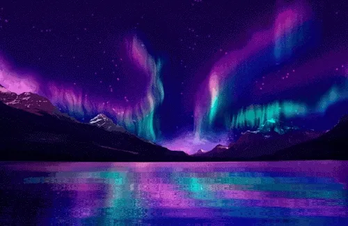 ParticleParadise