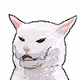 Crypto Meme Cat