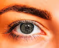 Crypto Subway Collection - old