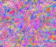 PAINT SPRAY