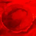 pmplanets