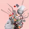 Algorithm Famil - old