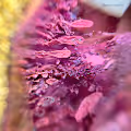 The Secret World of Resin