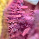 The Secret World of Resin